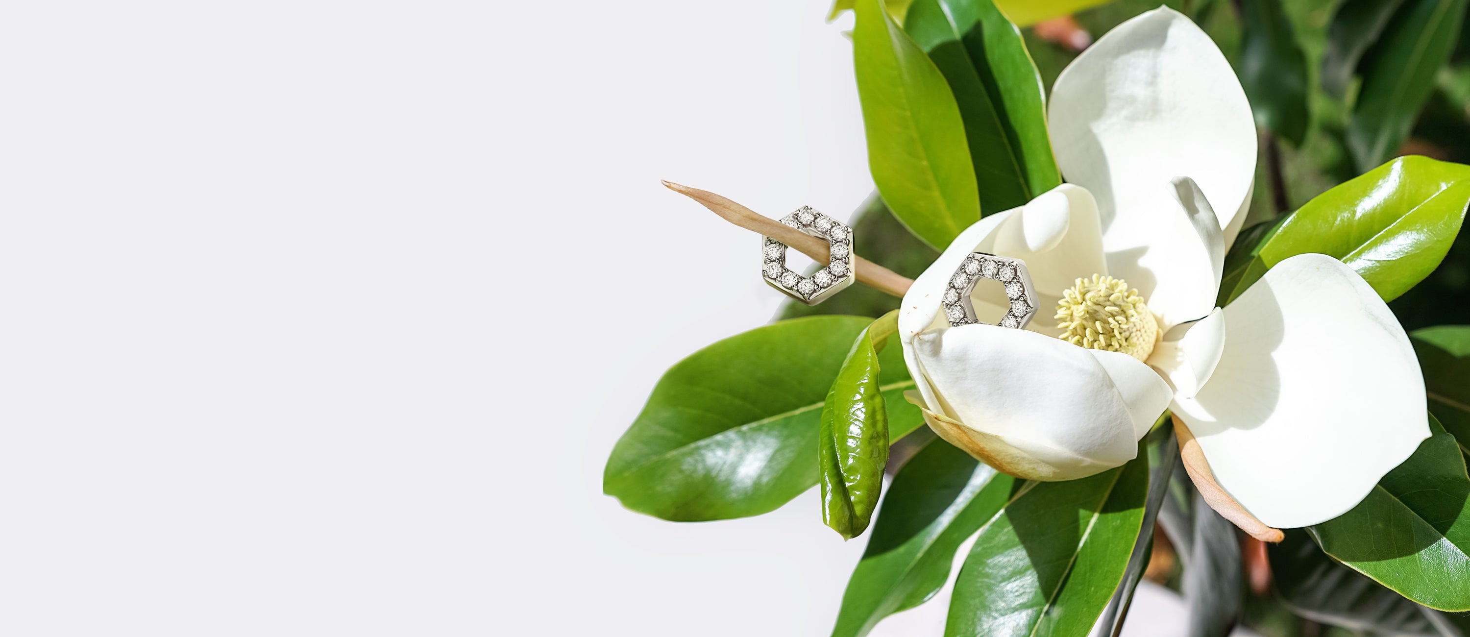 Stud Earring Collections