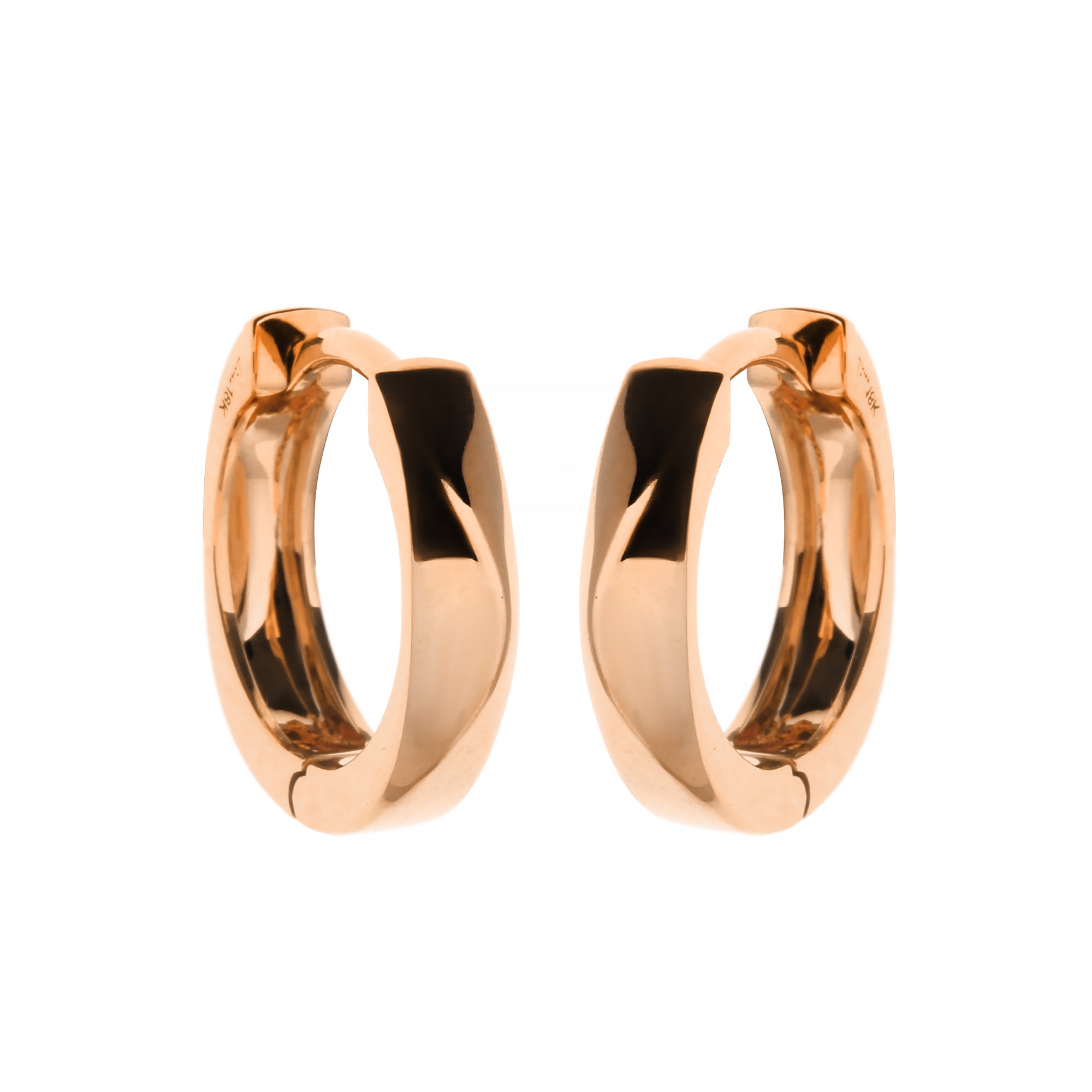 Bloomith Gold Earring (G2505240404)