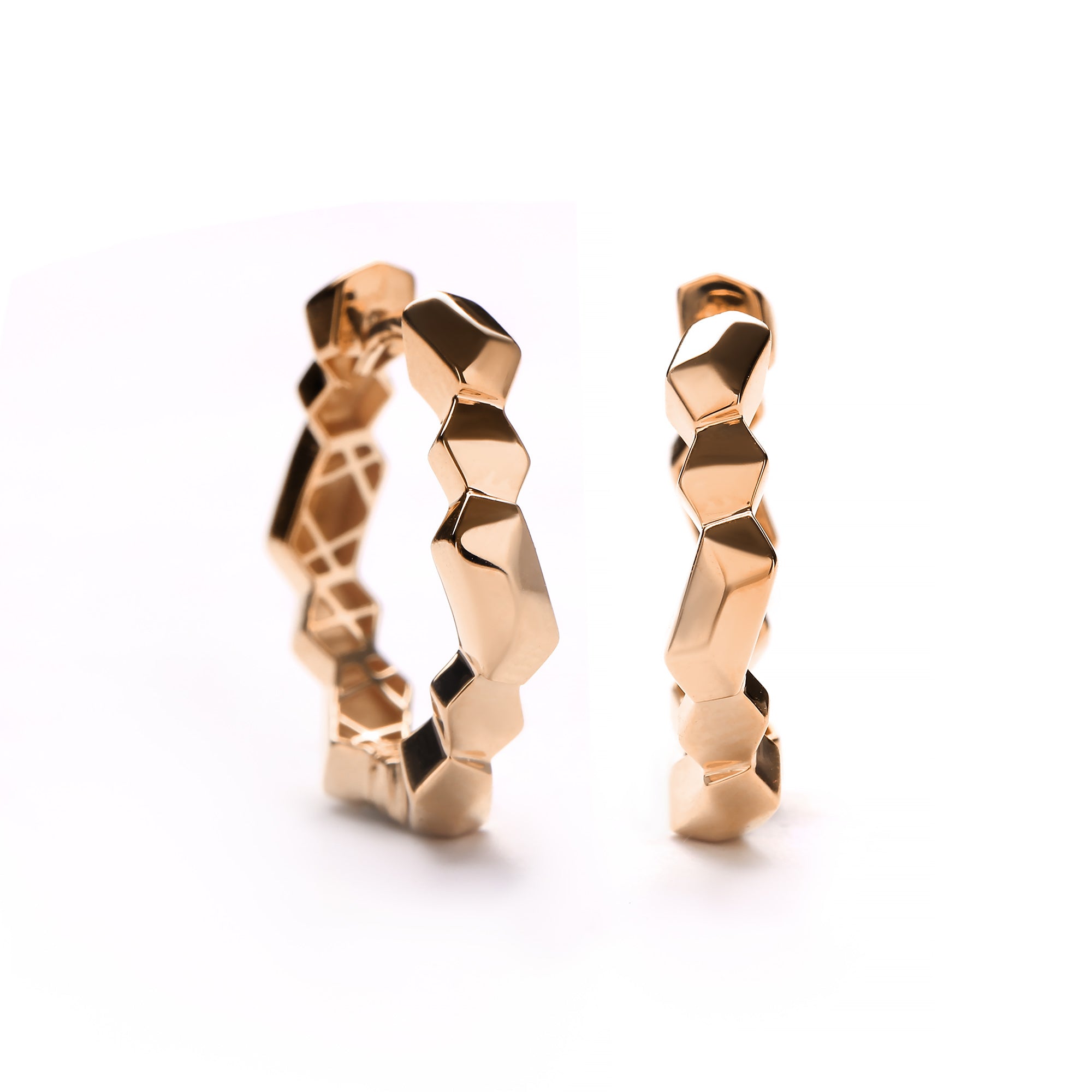 Brightfern Gold Earring (C2505280359)