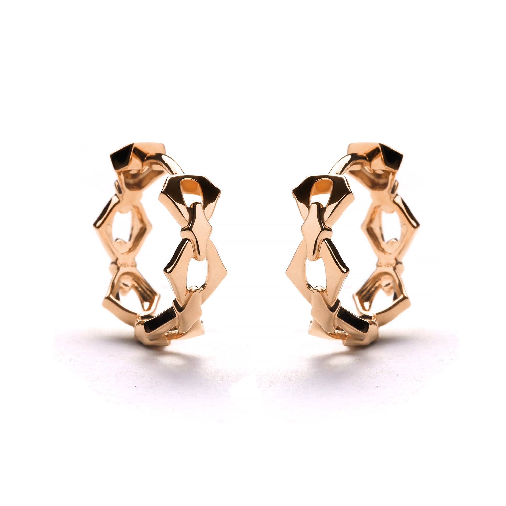Florentha Gold Earring (G2505240365)