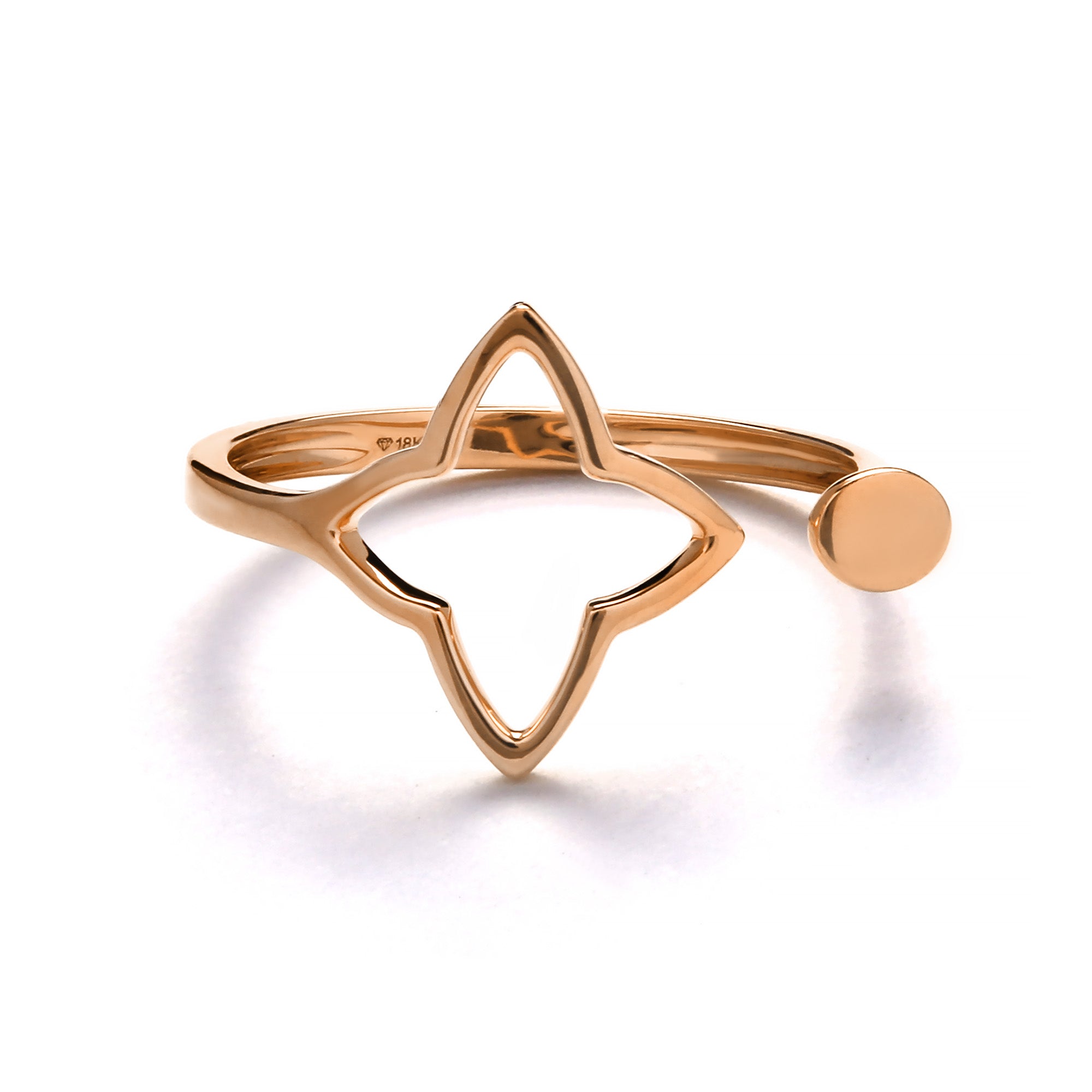 Rico Gold Ring (G2412070344)