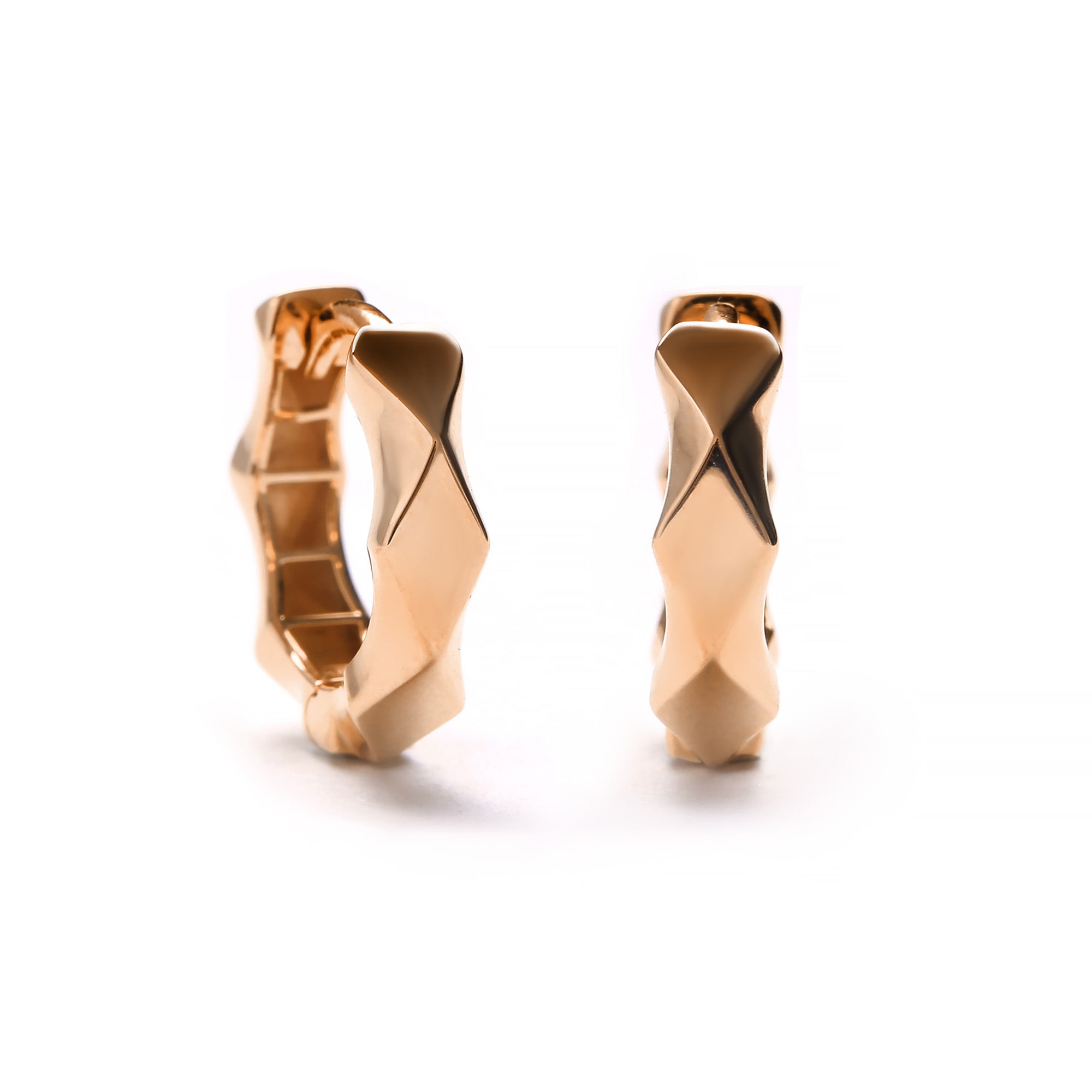 Tundralyn Gold Earring (C2506260471)