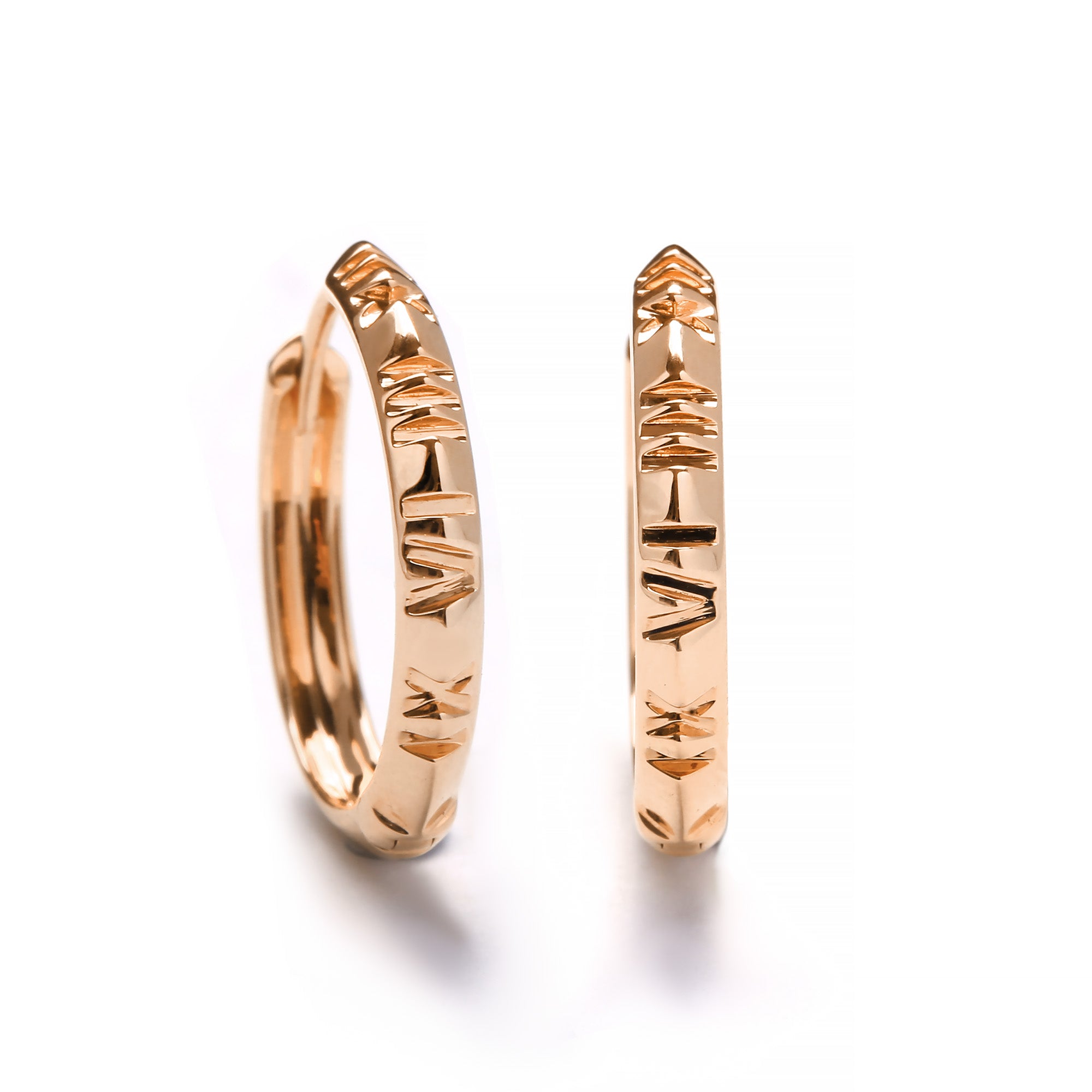 Vane Gold Earring (G2505220676)