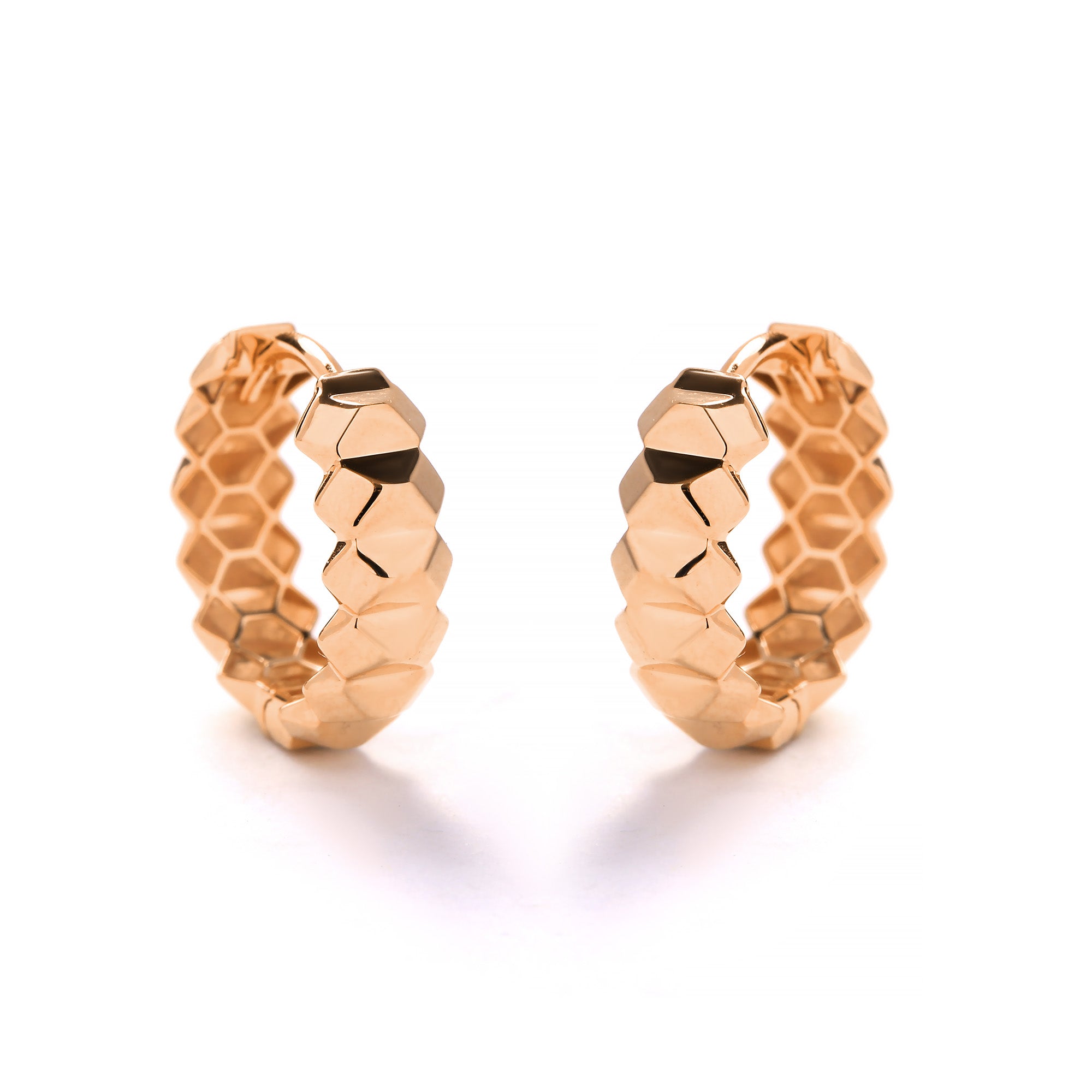 Venelle Gold Earring (C2510280008)