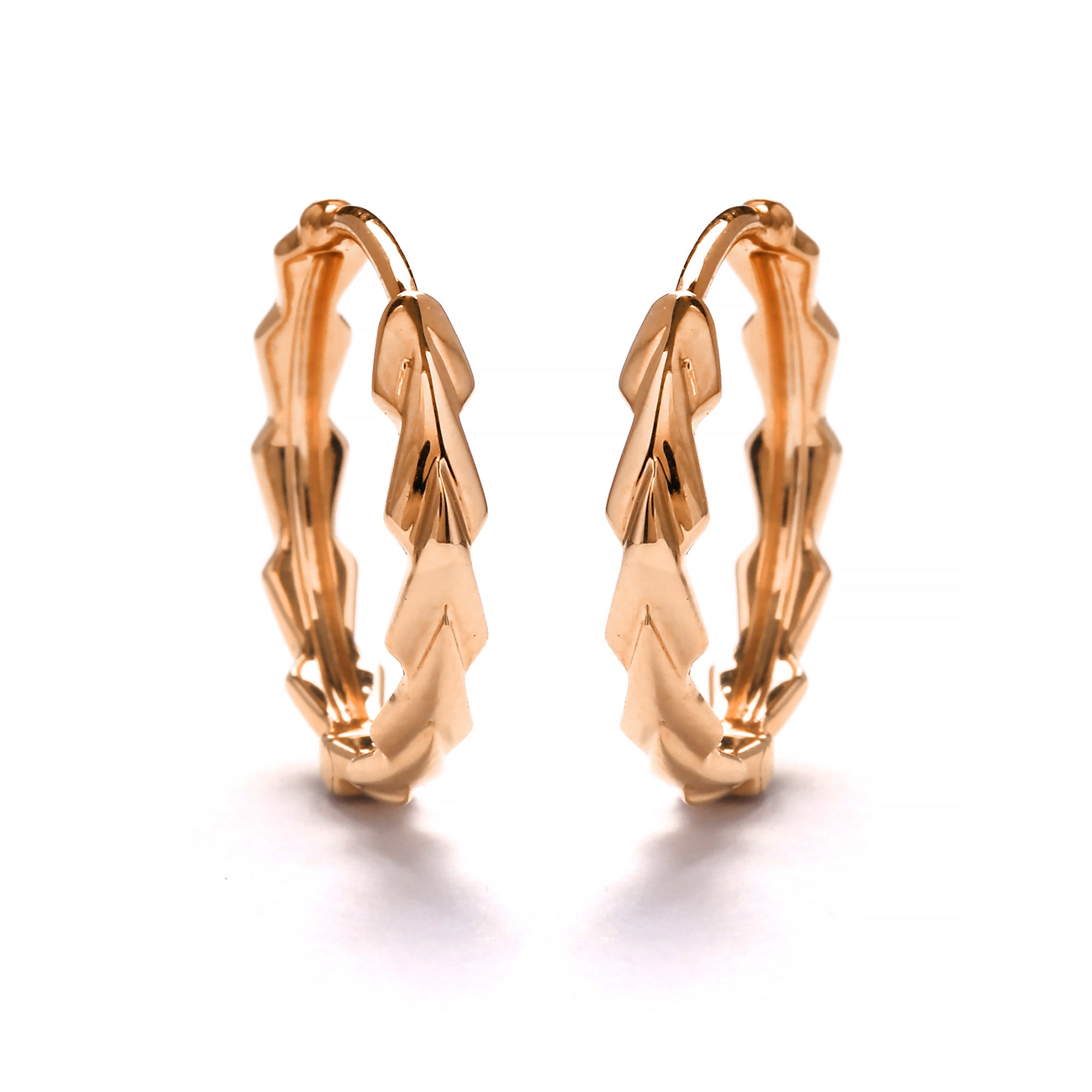 Zeryn Gold Earring (G2502080002)
