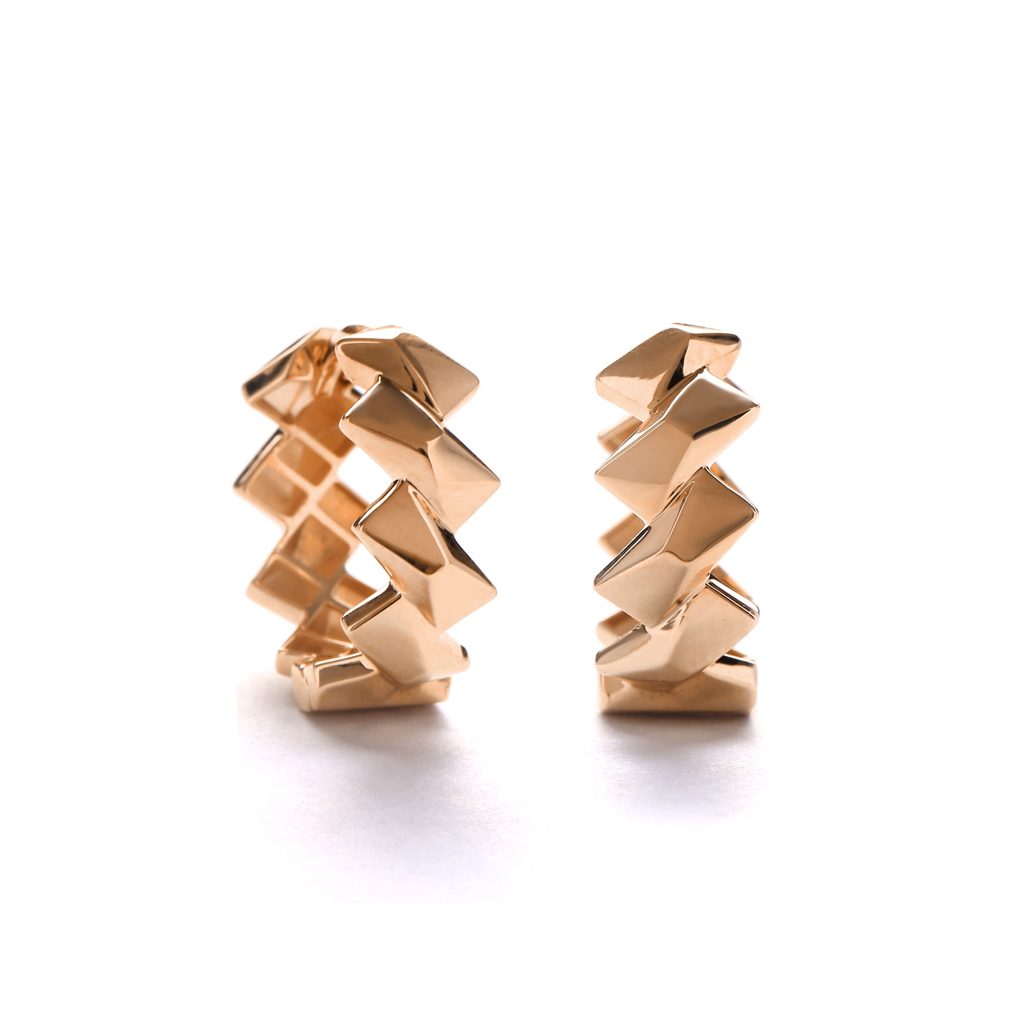 Zevina Gold Earring (C2505260447)