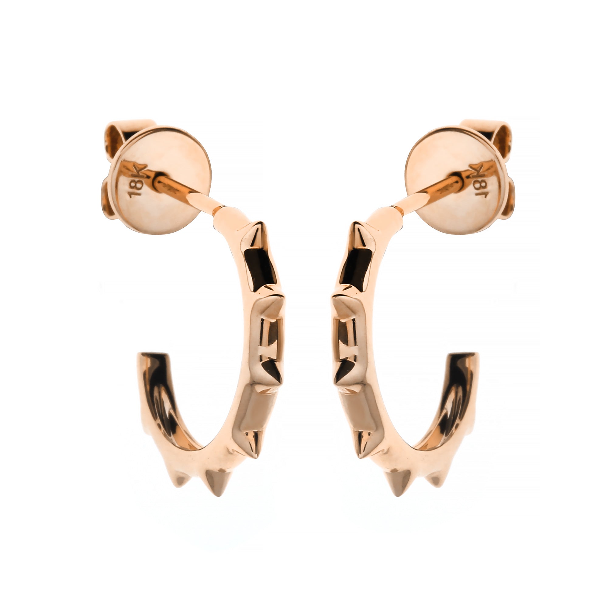 Zivra Gold Earring (G2505260498)