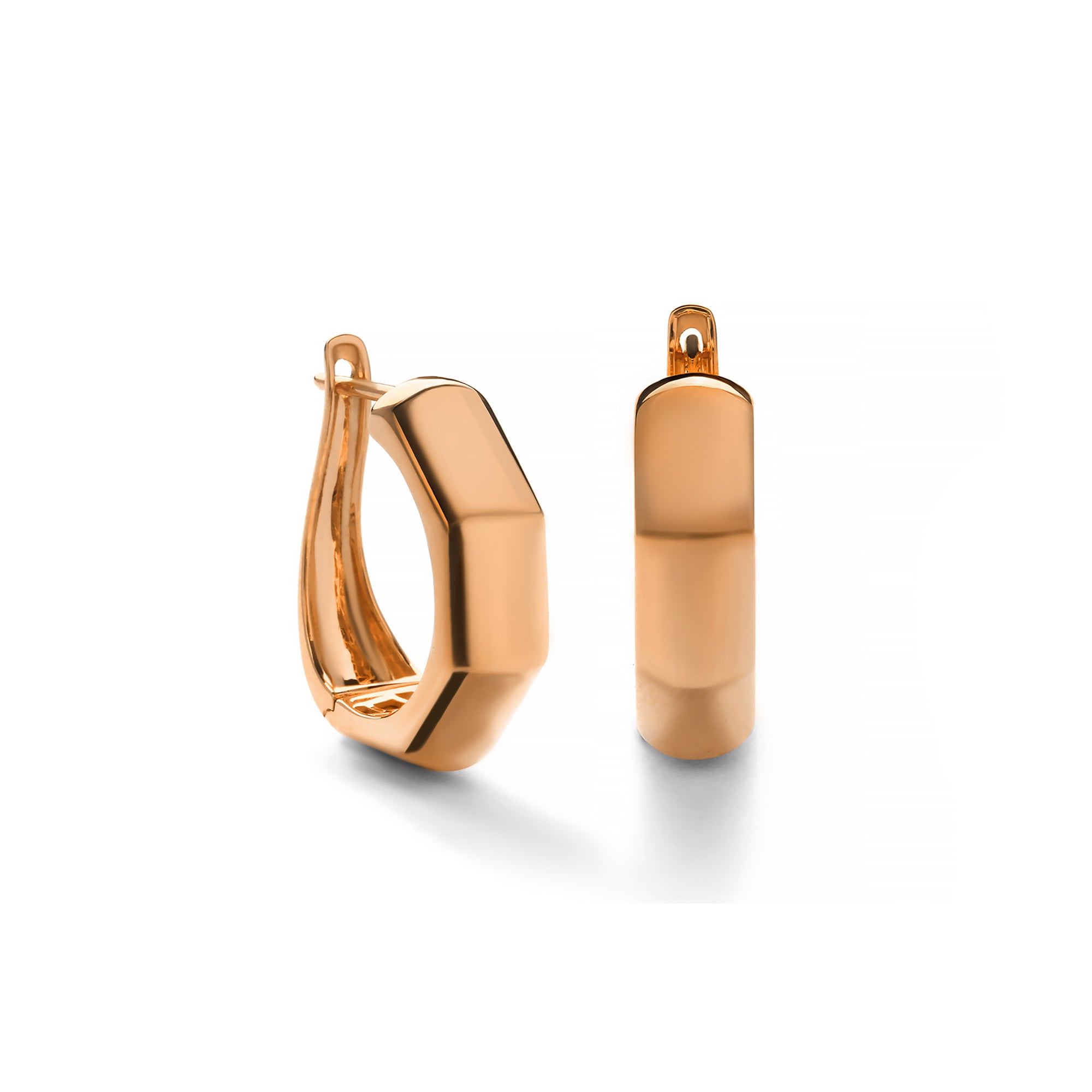 Azoryn Gold Earring (C2409160142)