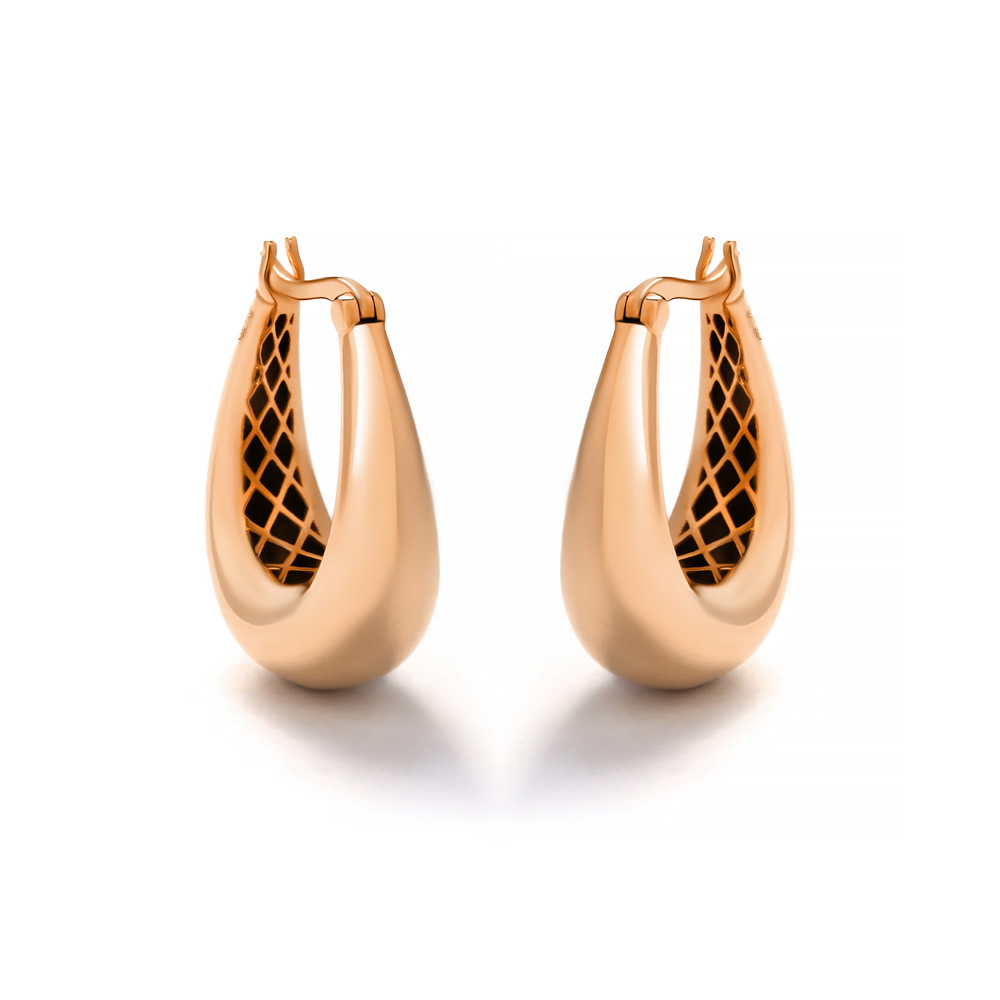 Daxie Gold Earring (C2409300182)