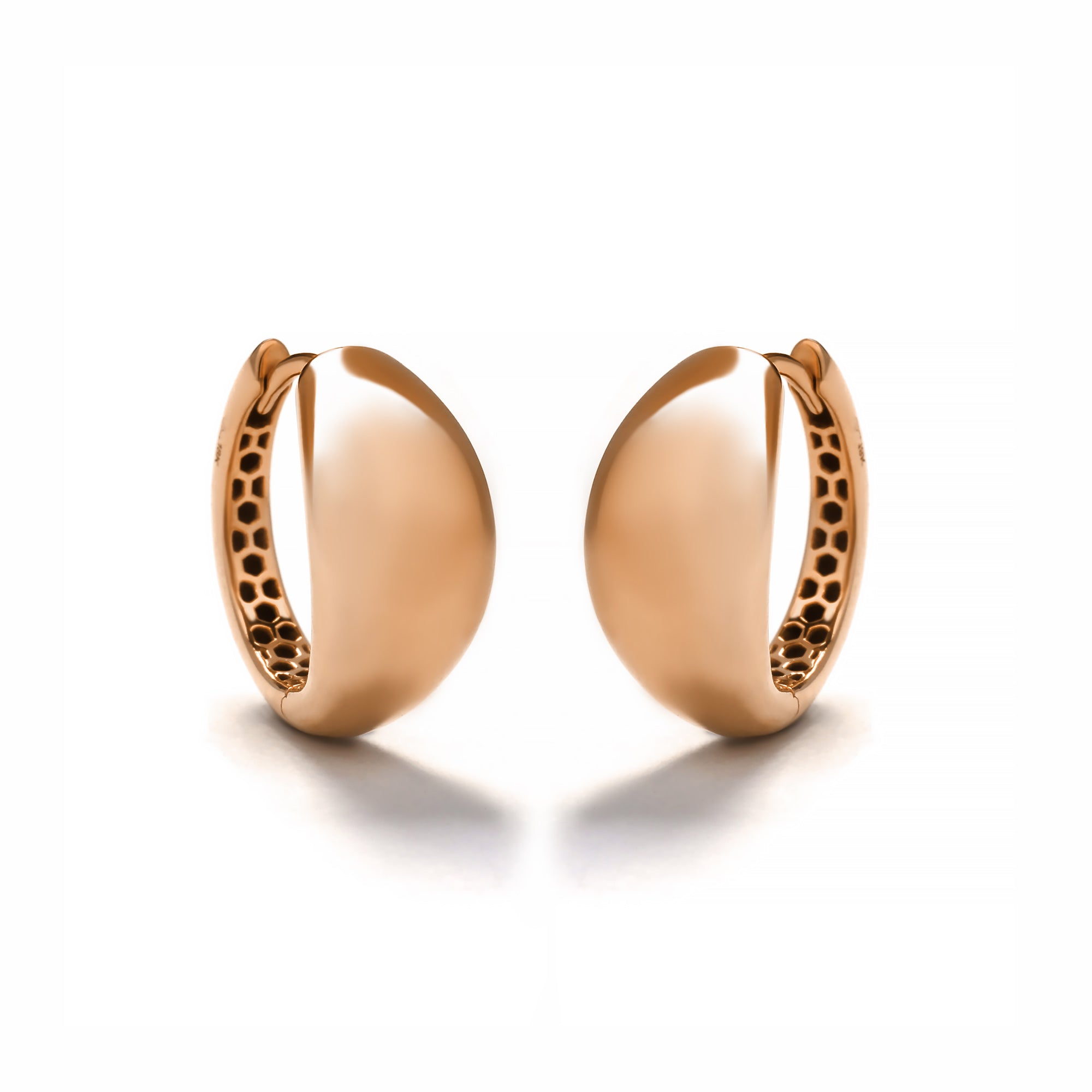 Skylar Gold Earring (C2409110012)