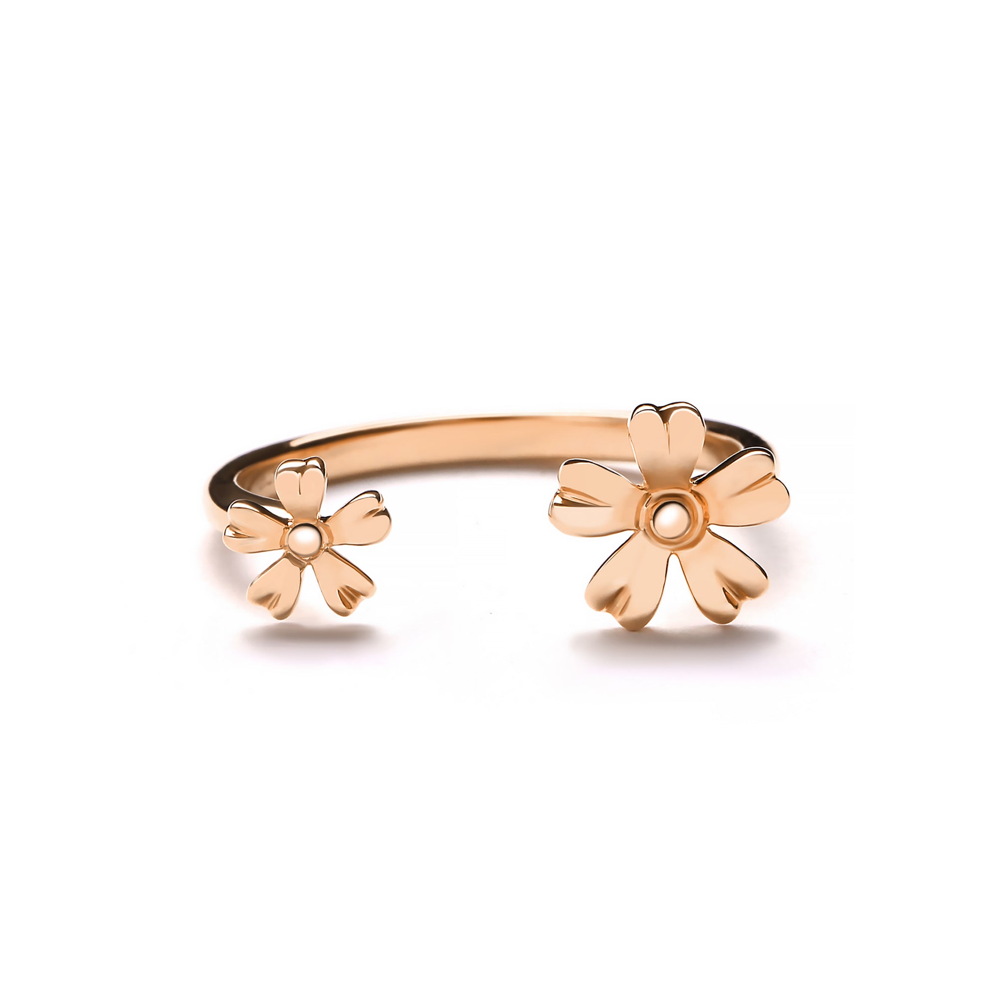 Asteriq Gold Ring (G2508260054)