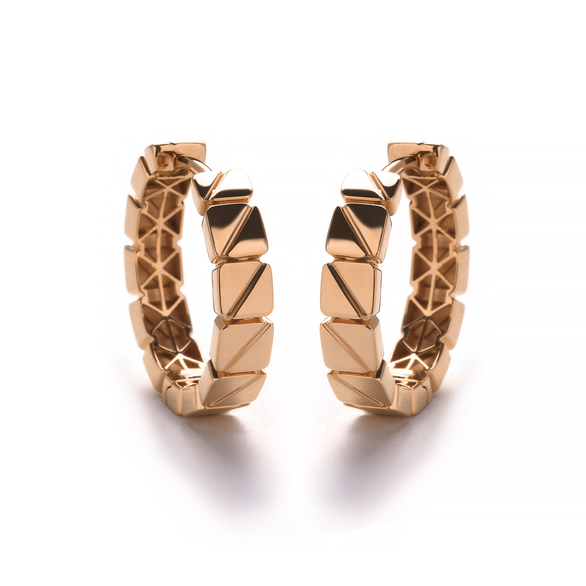 Corvae Gold Earring (C2505160019)