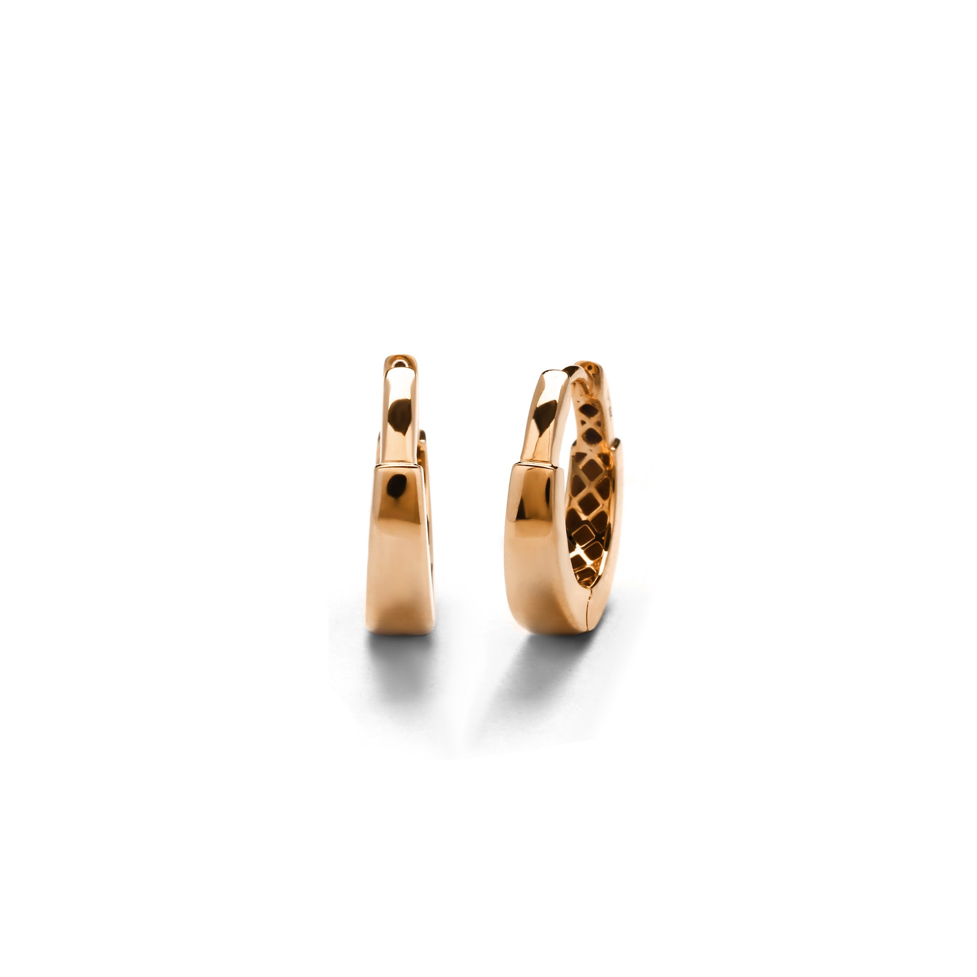Verinys Gold Earring (C2407290288)