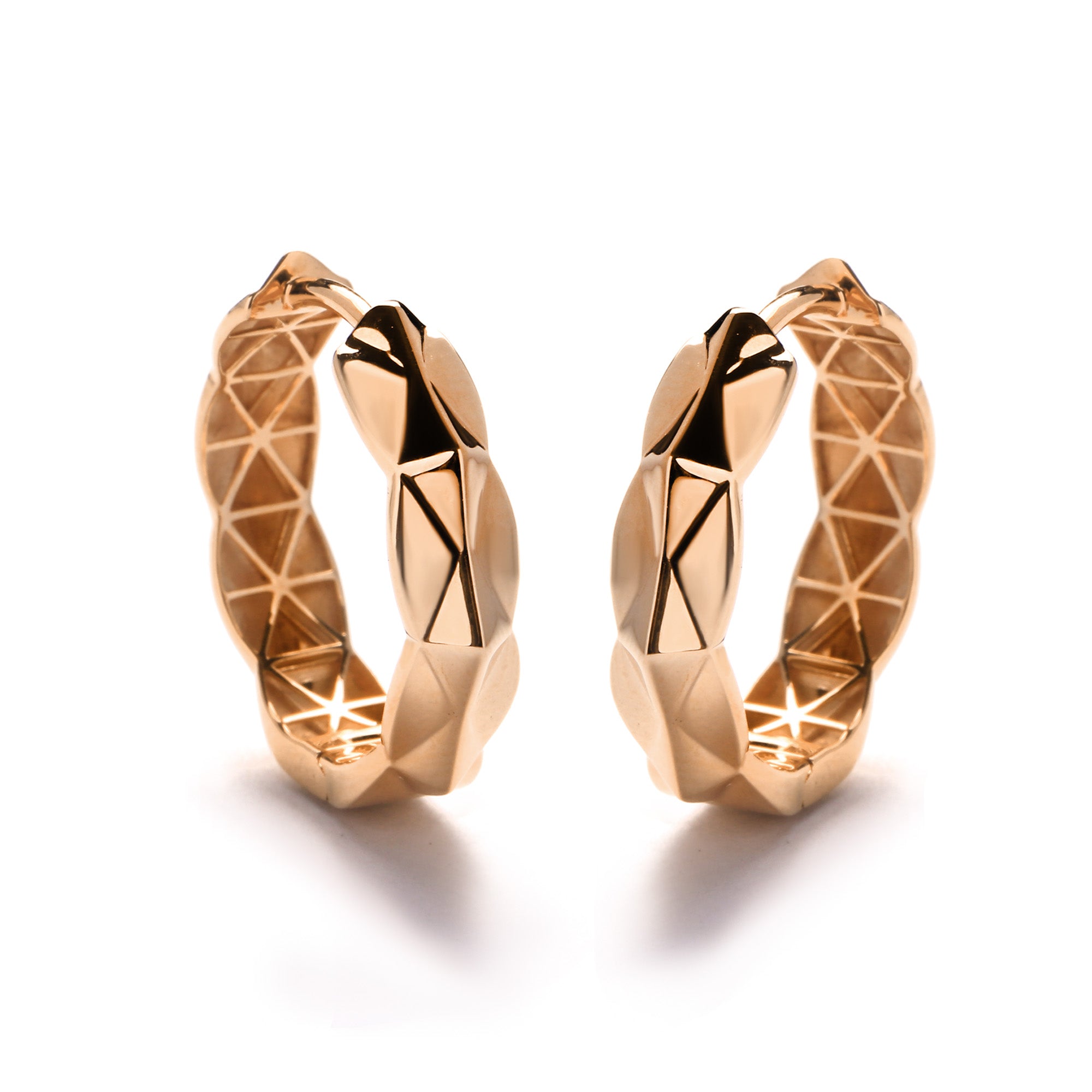Luneth Gold Earring (C2505270135)