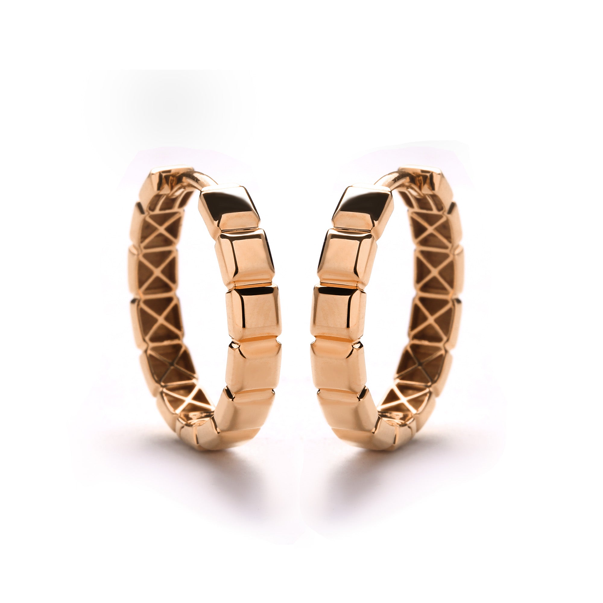 Nysel Gold Earring (C2505271017)