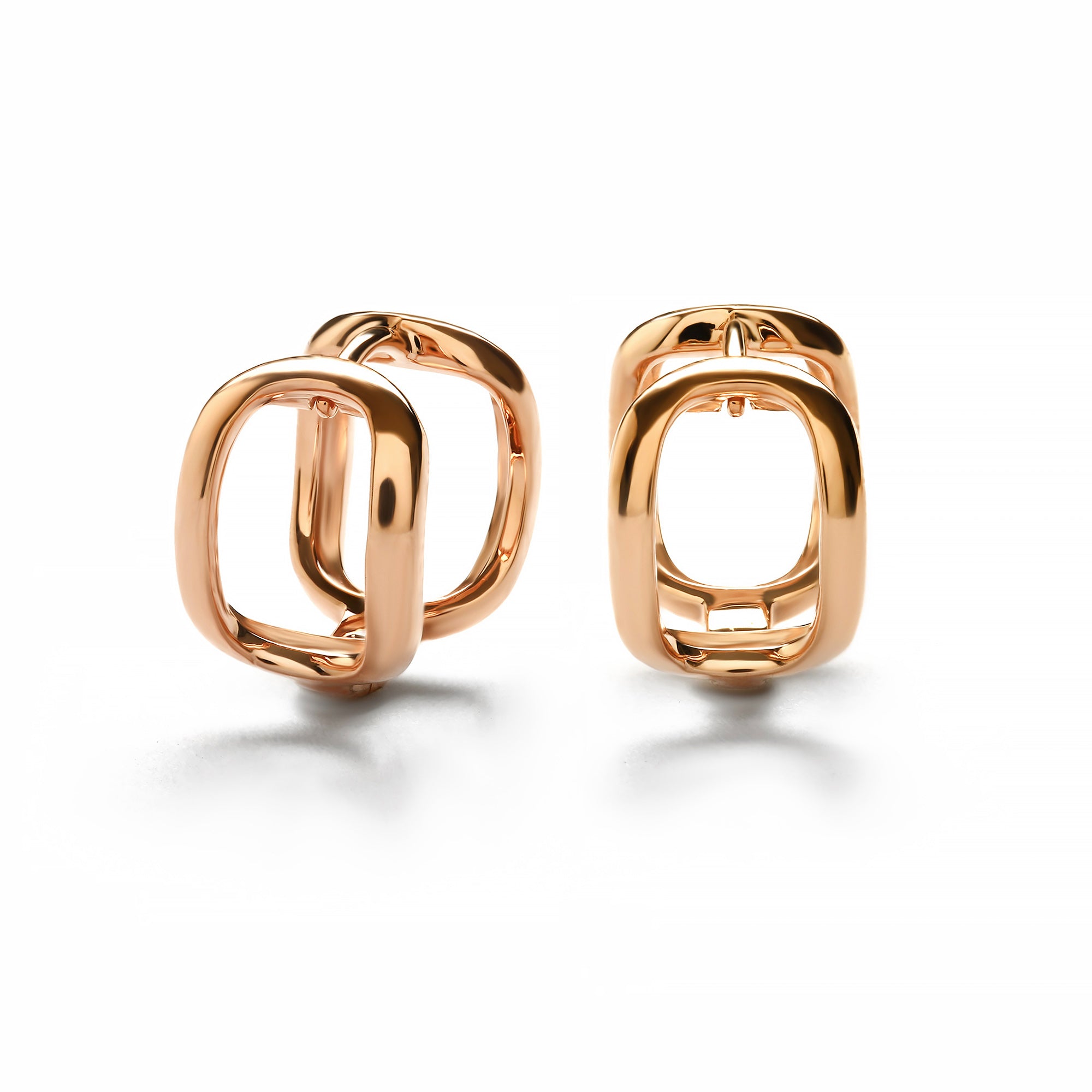 Raven Gold Earring (G2310240019)