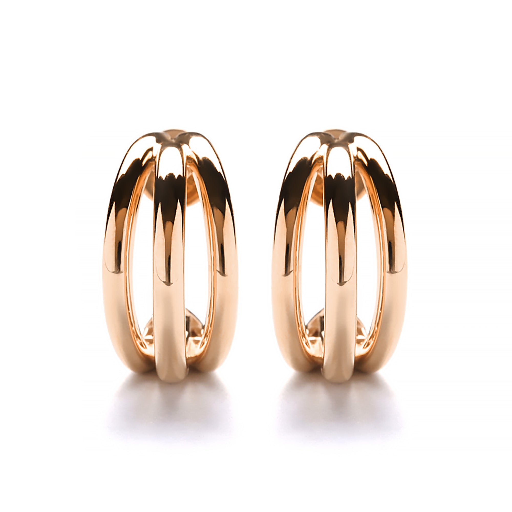 Zynthera Gold Earring (C2412180008)