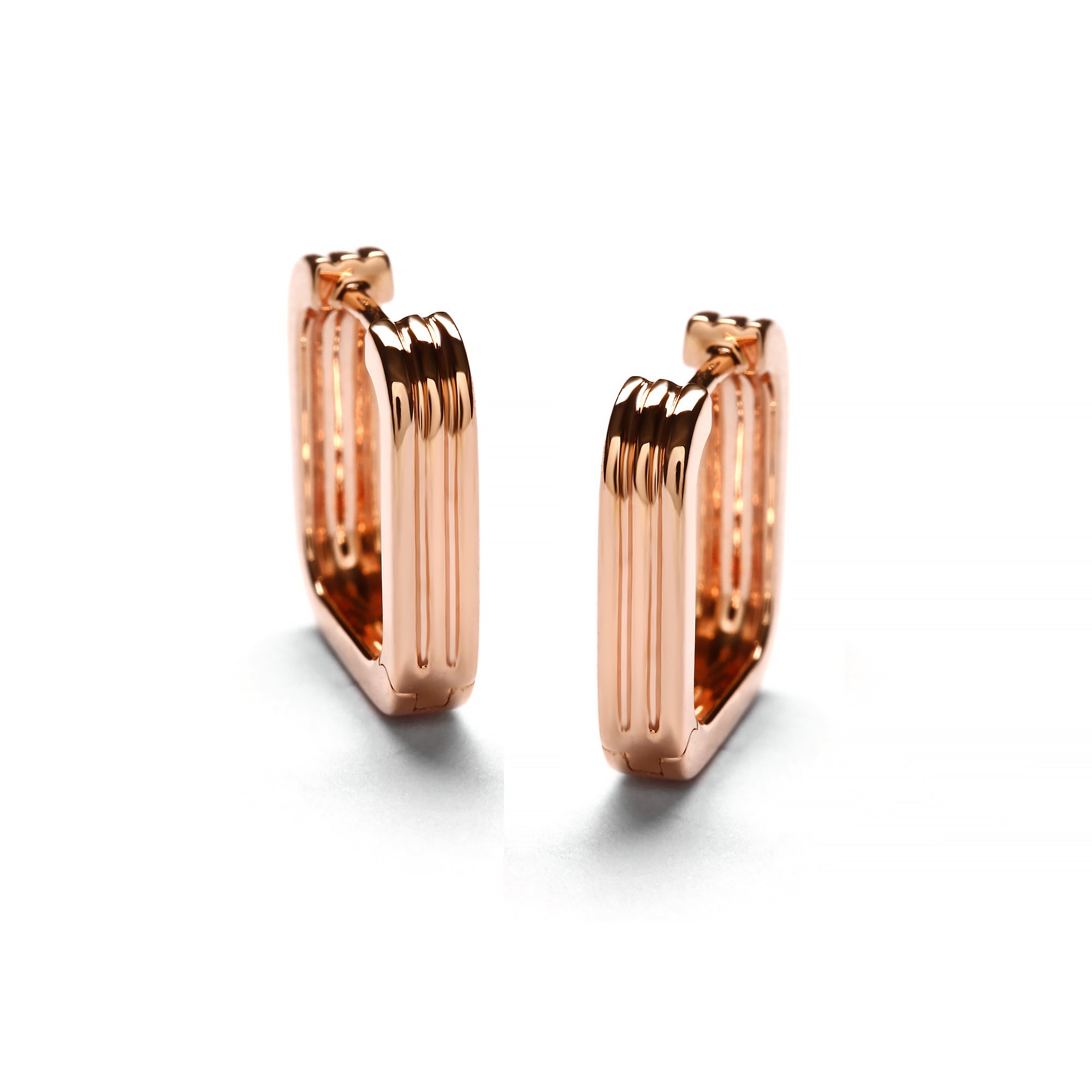 Anwen Gold Earring (G2311230056)