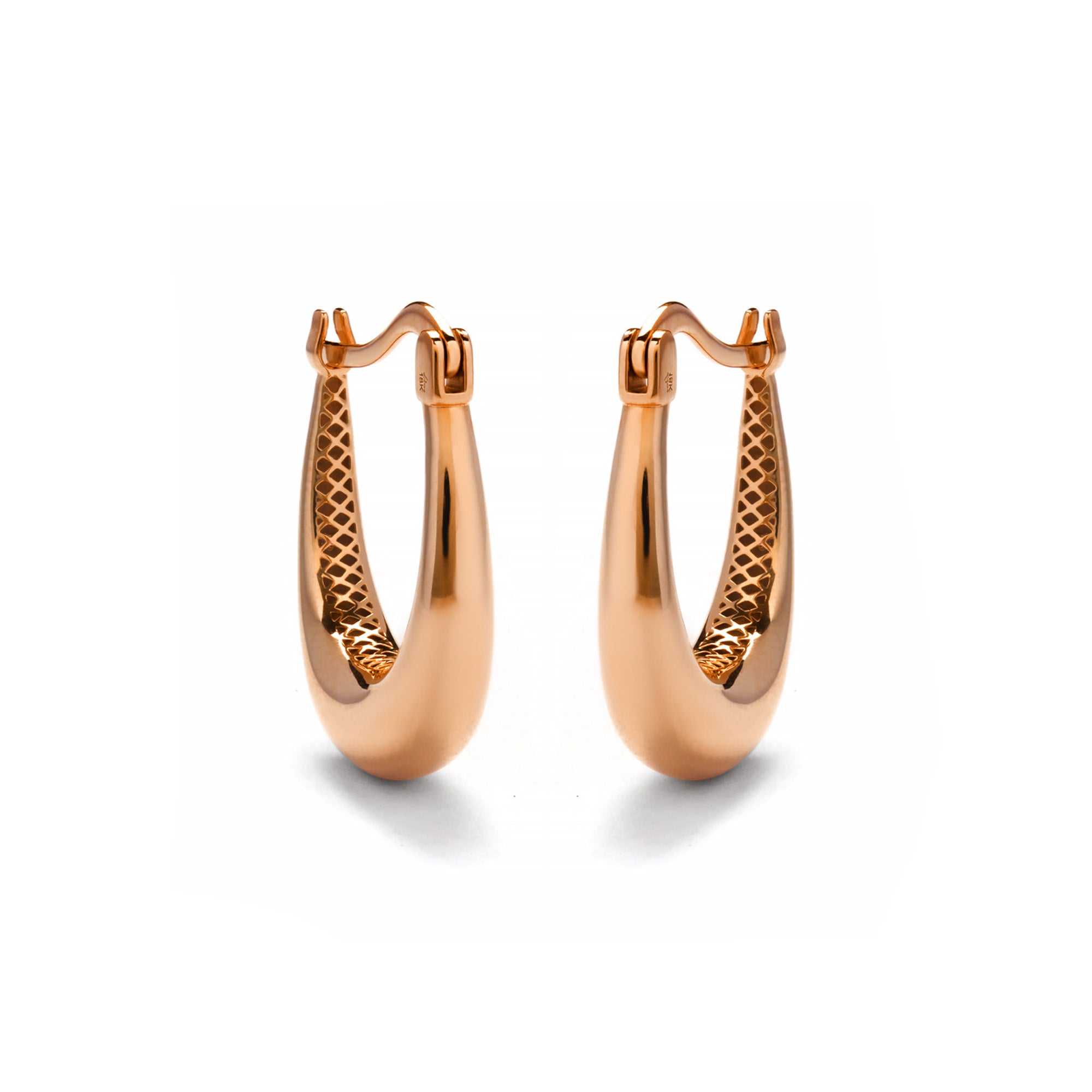 Dravena Gold Earring (C2407290124)