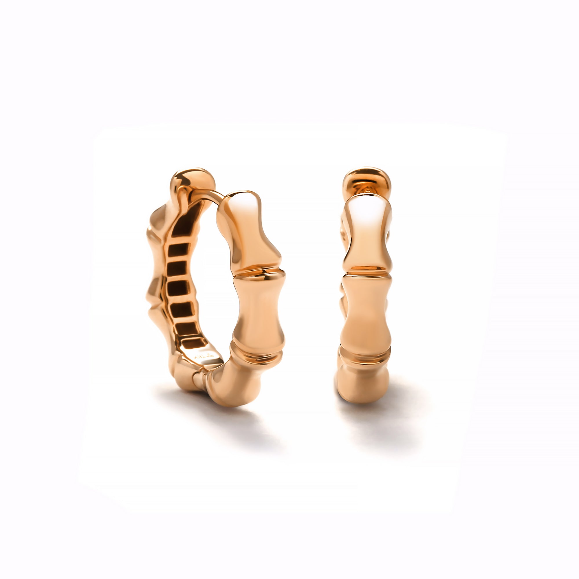 Vale Gold Earring (C2410030214)